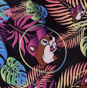 Buc-ee's swim shorts